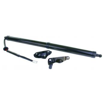 Stabilus 2Q586792 - Liftgate Lift Support Stabilus 2Q586792 Liftgate Lift Support product image 1 of 1