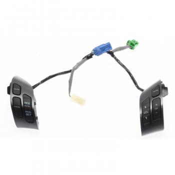 Standard Motor Products CCA1009 - Cruise Control Switch Standard Motor Products CCA1009 Cruise Control Switch product image 1 of 4