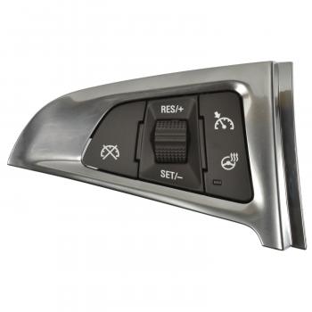 Standard Motor Products CCA1275 Cruise Control Switch product image 1 of 3