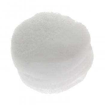 Standard Motor Products CF1 Vapor Canister Filter product image 1 of 1
