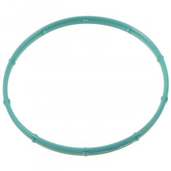 Standard Motor Products FJG146 - Fuel Injection Throttle Body Mounting Gasket Standard Motor Products FJG146 Fuel Injection Throttle Body Mounting Gasket product image 1 of 1