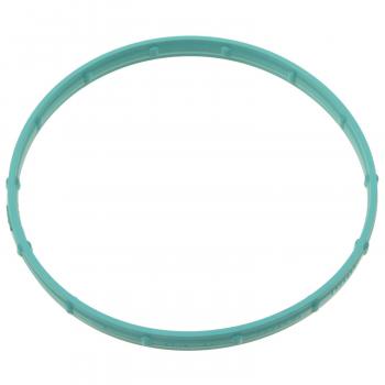 Standard Motor Products FJG148 - Fuel Injection Throttle Body Mounting Gasket Standard Motor Products FJG148 Fuel Injection Throttle Body Mounting Gasket product image 1 of 1