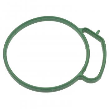 Standard Motor Products FJG158 Fuel Injection Throttle Body Mounting Gasket product image 1 of 1