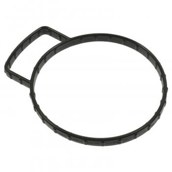 Standard Motor Products FJG167 Fuel Injection Throttle Body Mounting Gasket product image 1 of 1