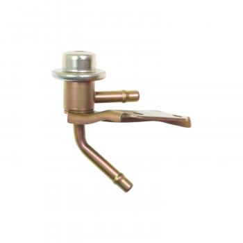 Standard Motor Products FPD24 Fuel Injection Pressure Damper product image 1 of 3
