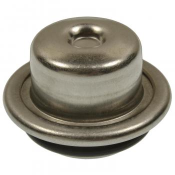 Standard Motor Products FPD56 Fuel Injection Pressure Damper product image 2 of 3