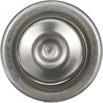 Standard Motor Products FPD6 Fuel Injection Pressure Damper product image 6 of 6
