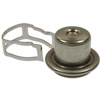 Standard Motor Products FPD83 Fuel Injection Pressure Damper product image 2 of 3