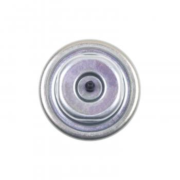 Standard Motor Products FPD9 Fuel Injection Pressure Damper product image 4 of 4
