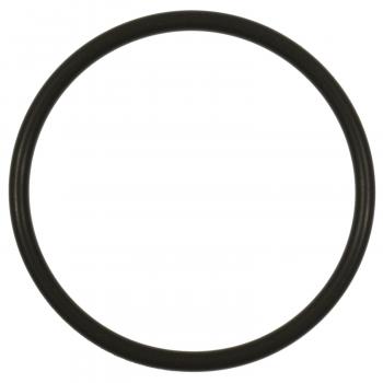 Standard Motor Products GDR101 Fuel Pump O-Ring product image 1 of 1