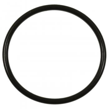 Standard Motor Products GDR102 Fuel Pump O-Ring product image 1 of 1