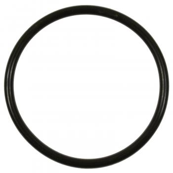 Standard Motor Products GDR501 Fuel Pump O-Ring product image 1 of 1