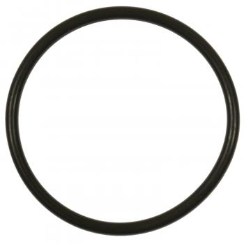 Standard Motor Products GDR502 Fuel Pump O-Ring product image 1 of 1