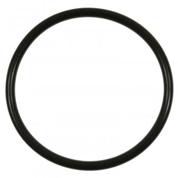 Standard Motor Products GDR503 Fuel Pump O-Ring product image 1 of 1