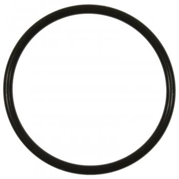 Standard Motor Products GDR505 Fuel Pump O-Ring product image 1 of 1