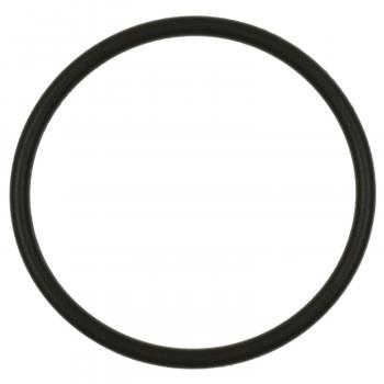 Standard Motor Products GDR506 Fuel Pump O-Ring product image 1 of 1