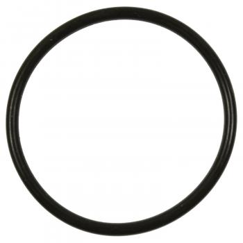 Standard Motor Products GDR507 Fuel Pump O-Ring product image 1 of 1