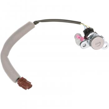 Standard Motor Products LSW102 Liftgate Release Switch product image 1 of 5