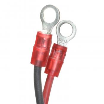 Standard Motor Products LX806 Ignition Conversion Kit product image 2 of 2