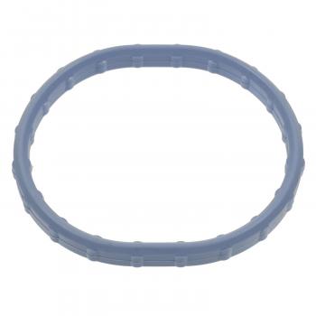 Standard Motor Products PG91 Fuel Injection Plenum Gasket product image 1 of 1