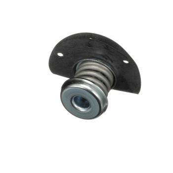 Standard Motor Products PR10 Fuel Injection Pressure Regulator product image 1 of 6