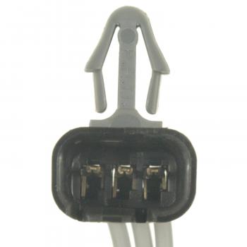 Standard Motor Products S1108 Cargo Area Light Connector product image 1 of 3