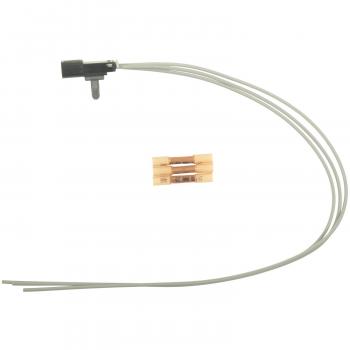 Standard Motor Products S1108 Cargo Area Light Connector product image 2 of 3