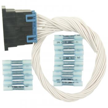 Standard Motor Products S1231 - Body Wiring Harness Connector Standard Motor Products S1231 Body Wiring Harness Connector product image 2 of 3