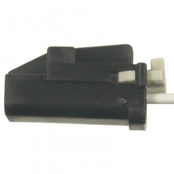 Standard Motor Products S1260 Instrument Lamp Connector product image 3 of 3