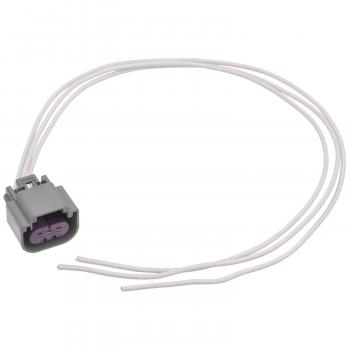 Standard Motor Products S1703 - Headlight Connector Standard Motor Products S1703 Headlight Connector product image 3 of 4