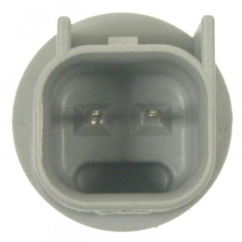 Standard Motor Products S1728 - Side Marker Light Socket Standard Motor Products S1728 Back Up Light Socket product image 1 of 4