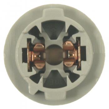 Standard Motor Products S1732 Back Up Light Socket product image 3 of 4