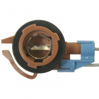 Standard Motor Products S1733 Back Up Light Socket product image 1 of 3
