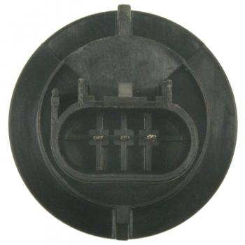 Standard Motor Products S1800 Back Up Light Socket product image 1 of 3