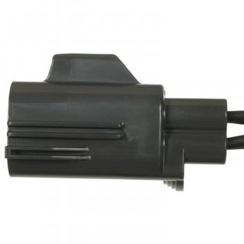 Standard Motor Products S1841 - Back Up Light Socket Standard Motor Products S1841 Back Up Light Connector product image 1 of 3