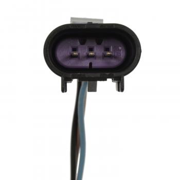 Standard Motor Products S2126 Tail Light Connector product image 3 of 3