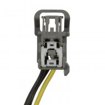 Standard Motor Products S2284 Tail Light Connector product image 3 of 3