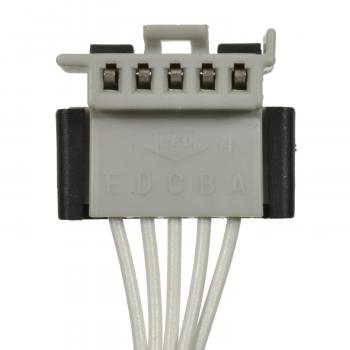 Standard Motor Products S2310 - Power Window Switch Connector Standard Motor Products S2310 Power Window Switch Connector product image 3 of 3