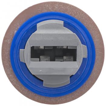 Standard Motor Products S2390 Back Up Light Socket product image 3 of 4