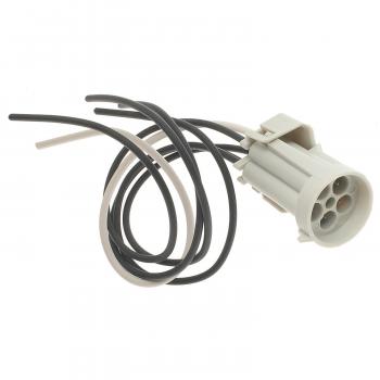 Standard Motor Products S736 - Tail Light Connector Standard Motor Products S736 Tail Light Connector product image 2 of 3
