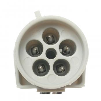Standard Motor Products S736 - Tail Light Connector Standard Motor Products S736 Tail Light Connector product image 3 of 3