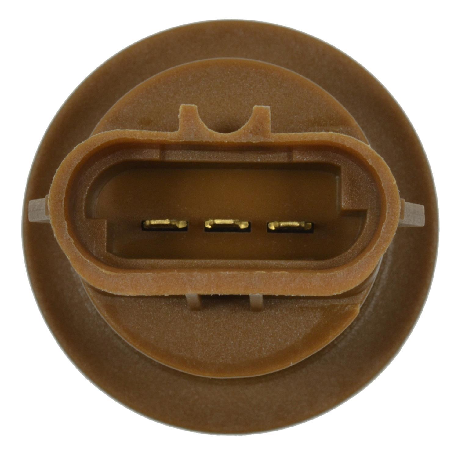Standard Motor Products S808 - Tail Lamp Socket Standard Motor Products S808 Back Up Light Socket product image 3 of 3