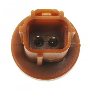 Standard Motor Products S815 Back Up Light Socket product image 3 of 3
