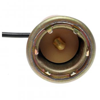 Standard Motor Products S87 Back Up Light Socket product image 1 of 3