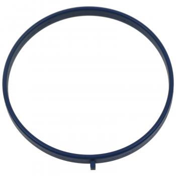 Standard Motor Products TBG100 - Fuel Injection Throttle Body Mounting Gasket Standard Motor Products TBG100 Fuel Injection Throttle Body Mounting Gasket product image 1 of 1