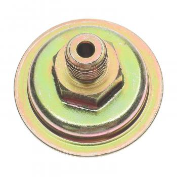 Standard Motor Products TM10 Auto Trans Modulator Valve product image 1 of 3