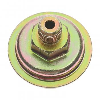 Standard Motor Products TM9 Auto Trans Modulator Valve product image 1 of 3