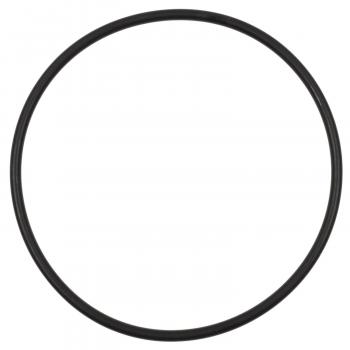 Standard Motor Products VG239 EGR Valve Gasket product image 1 of 1