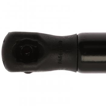 Strong Arm 7138 Trunk Lid Lift Support product image 1 of 6