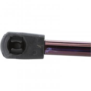 Strong Arm A4899 Tailgate Lift Support product image 1 of 6